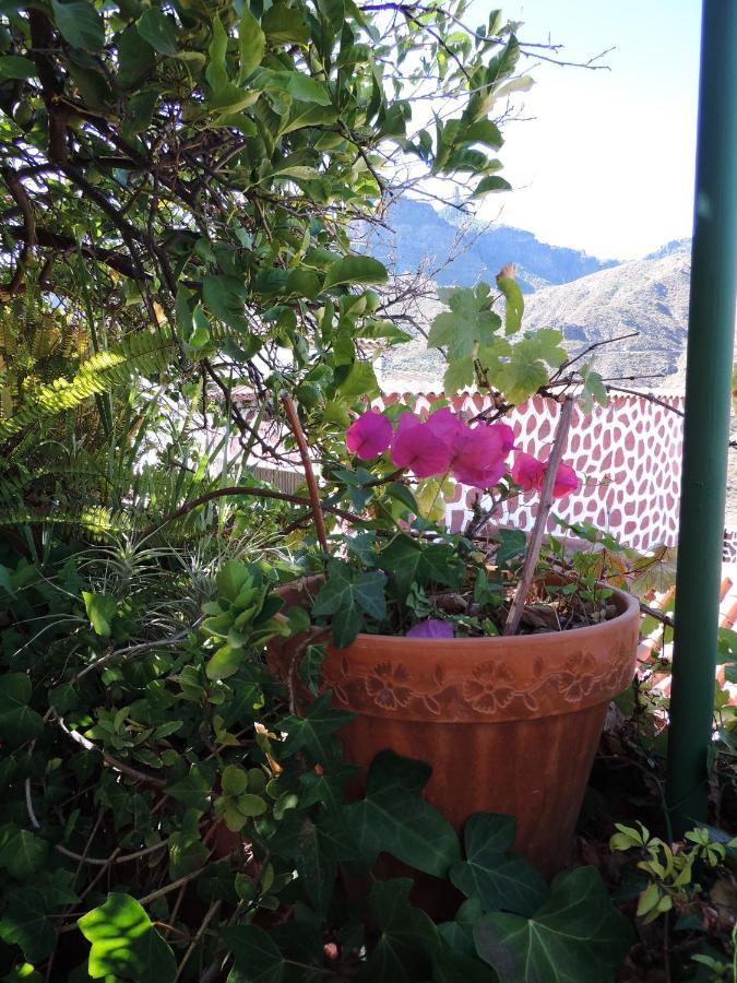 Rural Houses Serafin Casa Rural Serafin The Best Views เตเฮดา ภายนอก รูปภาพ