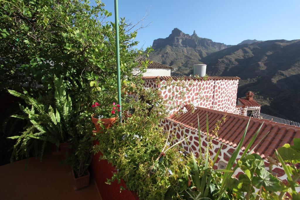 Rural Houses Serafin Casa Rural Serafin The Best Views เตเฮดา ห้อง รูปภาพ